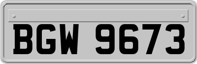 BGW9673