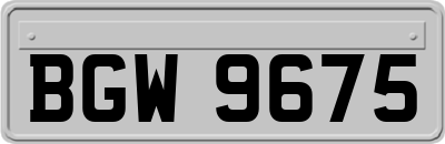 BGW9675