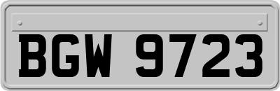 BGW9723