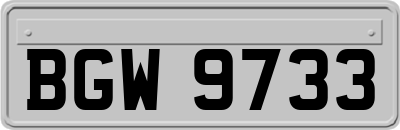 BGW9733