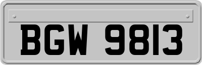 BGW9813