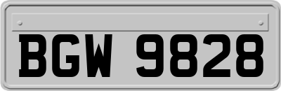 BGW9828