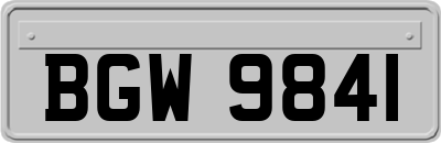 BGW9841