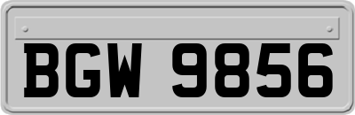 BGW9856