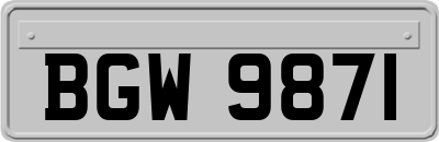 BGW9871