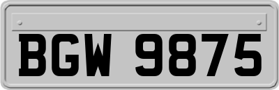 BGW9875