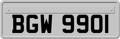 BGW9901