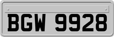 BGW9928