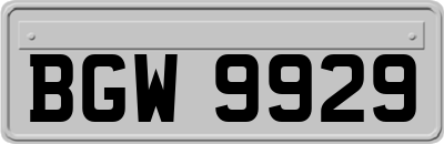 BGW9929