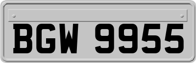 BGW9955