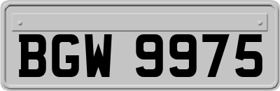 BGW9975