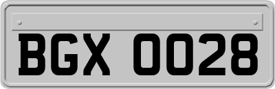 BGX0028