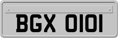 BGX0101