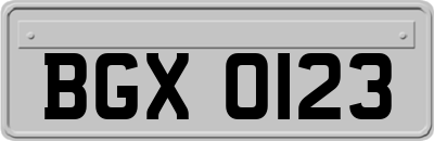 BGX0123