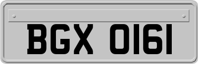 BGX0161