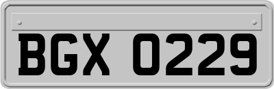BGX0229