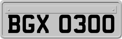 BGX0300