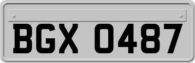 BGX0487