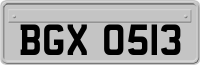 BGX0513