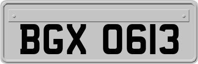 BGX0613