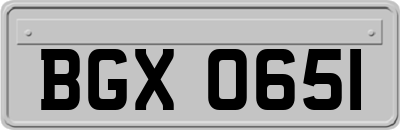 BGX0651