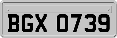 BGX0739