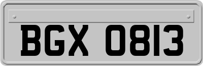 BGX0813