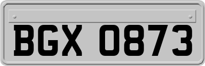 BGX0873