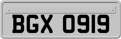 BGX0919