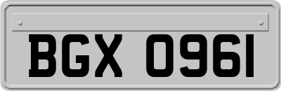 BGX0961