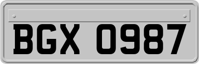 BGX0987