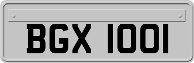 BGX1001
