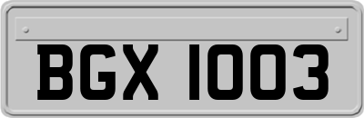 BGX1003