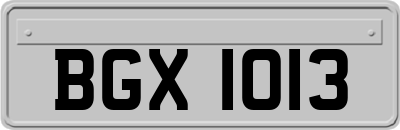 BGX1013