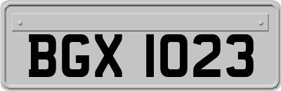 BGX1023