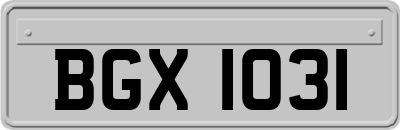 BGX1031