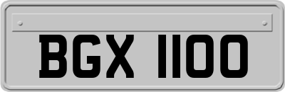 BGX1100
