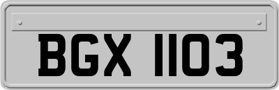 BGX1103