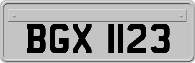 BGX1123