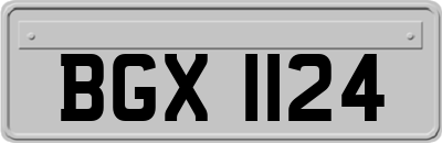 BGX1124