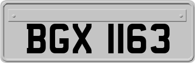 BGX1163