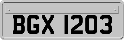 BGX1203