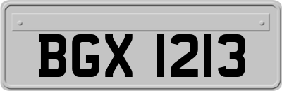 BGX1213
