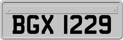 BGX1229