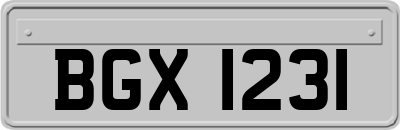 BGX1231