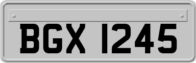BGX1245