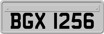 BGX1256