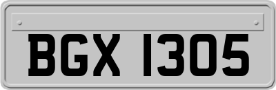 BGX1305