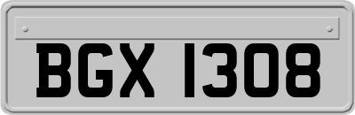 BGX1308