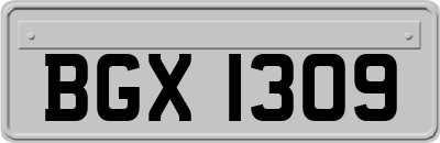 BGX1309